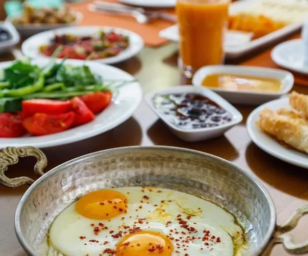 Готель Suena Чешме