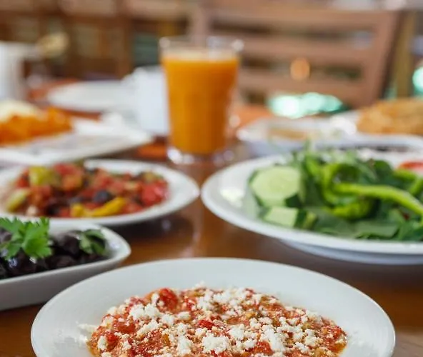 Готель Suena *